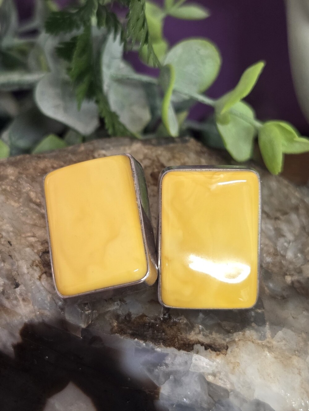 Gorgeous Large Butterscotch Amber Sterling Silver Omega Back Earrings